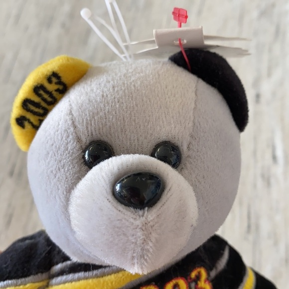 NASCAR 2003 champion speed bear Matt Kenseth 17 - Picture 8 of 9